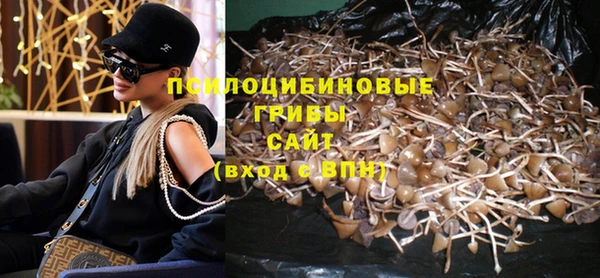 стафф Алзамай