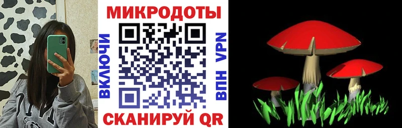 Галлюциногенные грибы прущие грибы Электрогорск