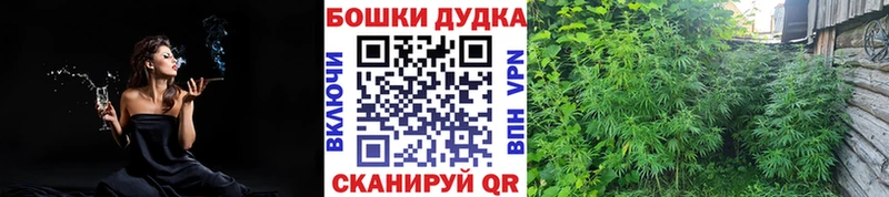 Марихуана сатива  цена   Электрогорск 