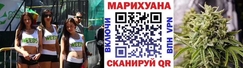 Конопля сатива Электрогорск